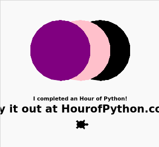 Your Python Trinket